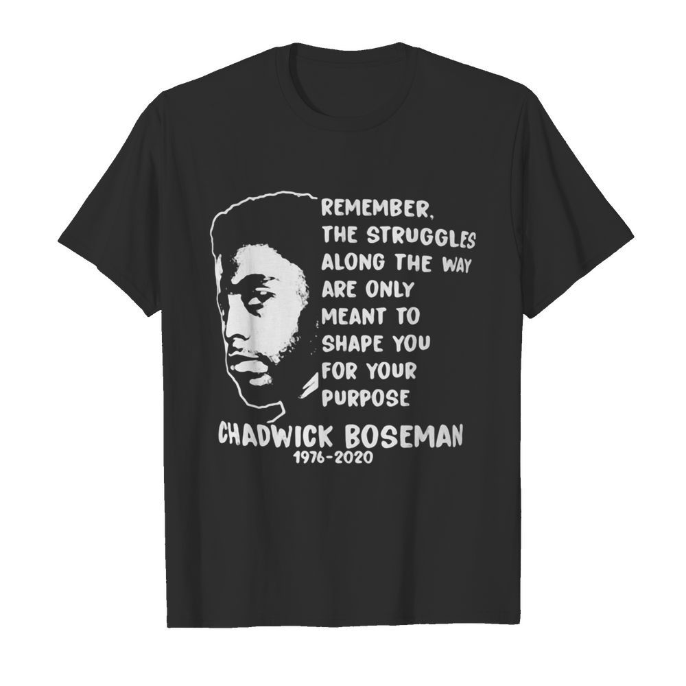 Remember the struggles along the way are only meant to shape you for your purpose rip chadwick 1976 2020 shirt