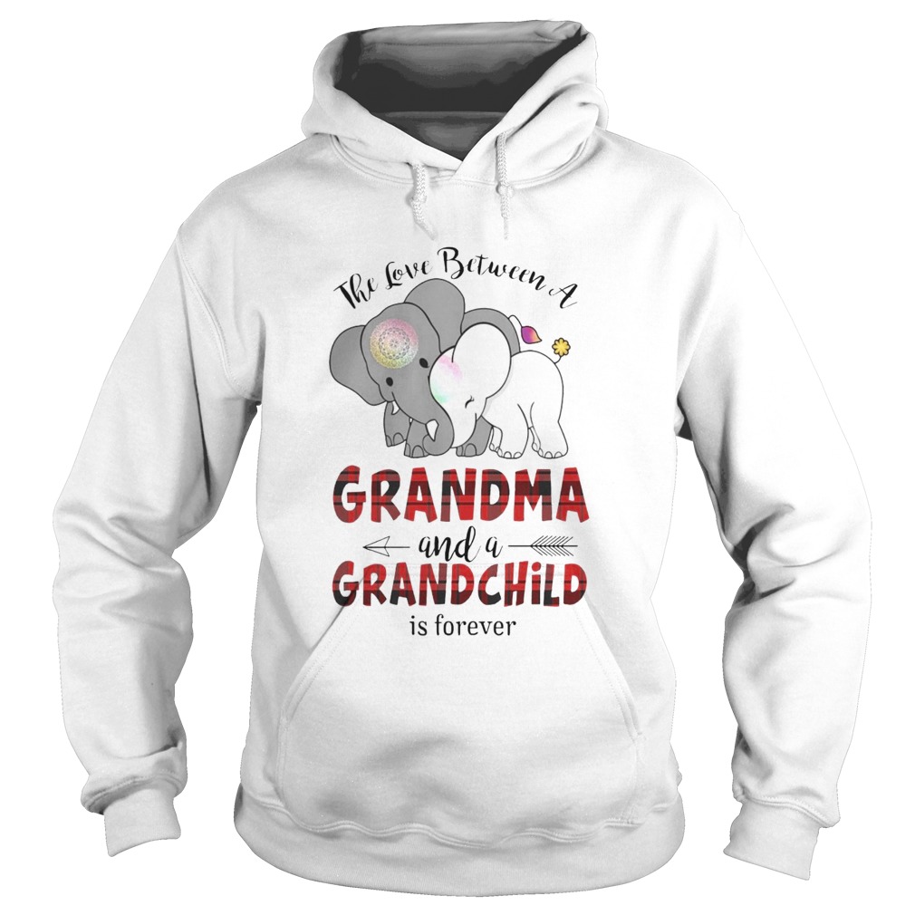 The Love Between A Grandma And A Grandchild Is Forever  Hoodie