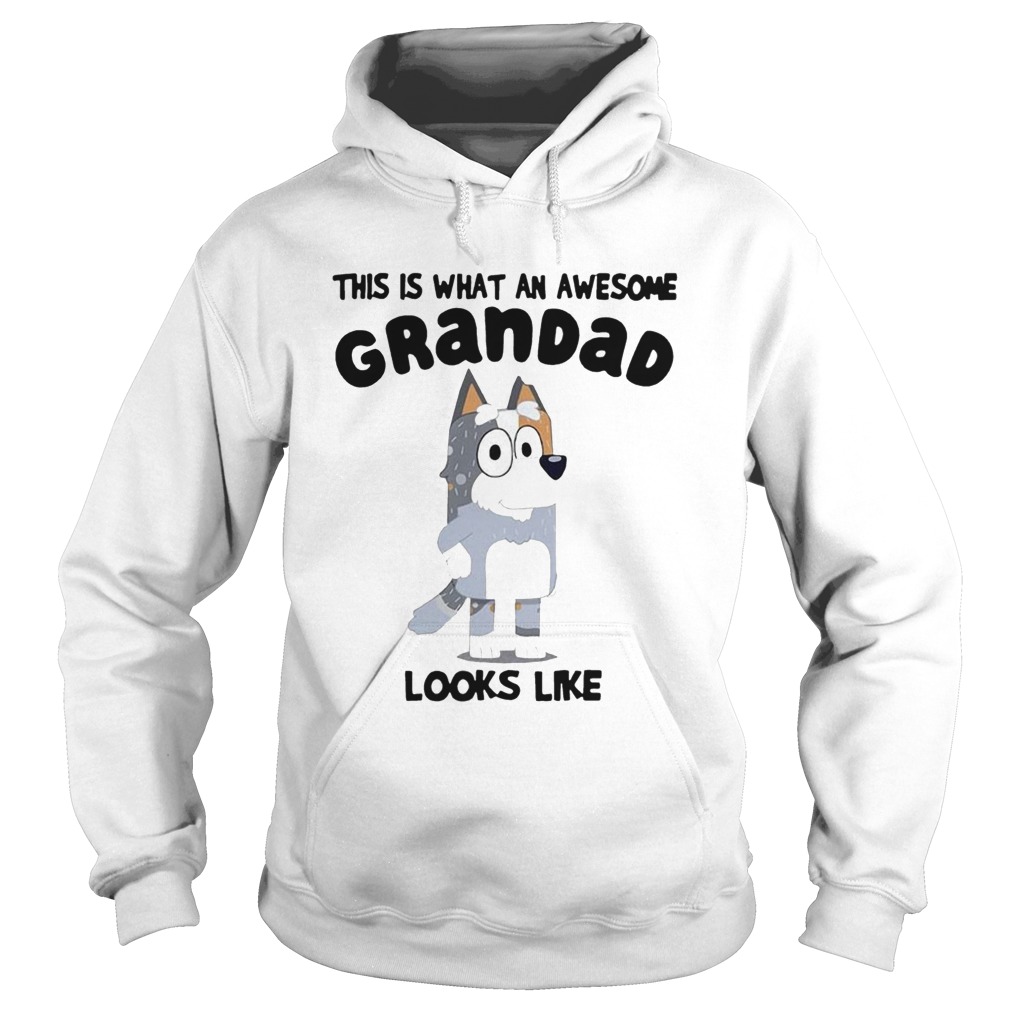 This Is What An Awesome Grandad Looks Like  Hoodie