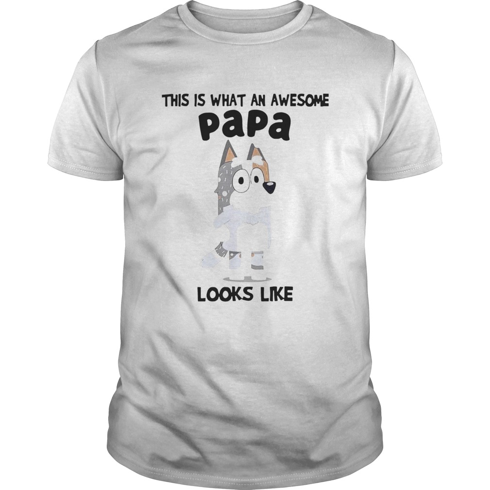 This Is What An Awesome Papa Bandit Heeler Looks Like shirt