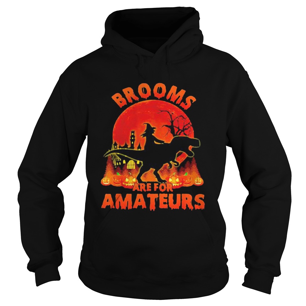 Witch Riding Dinosaurs Brooms Are For Amateurs Halloween  Hoodie