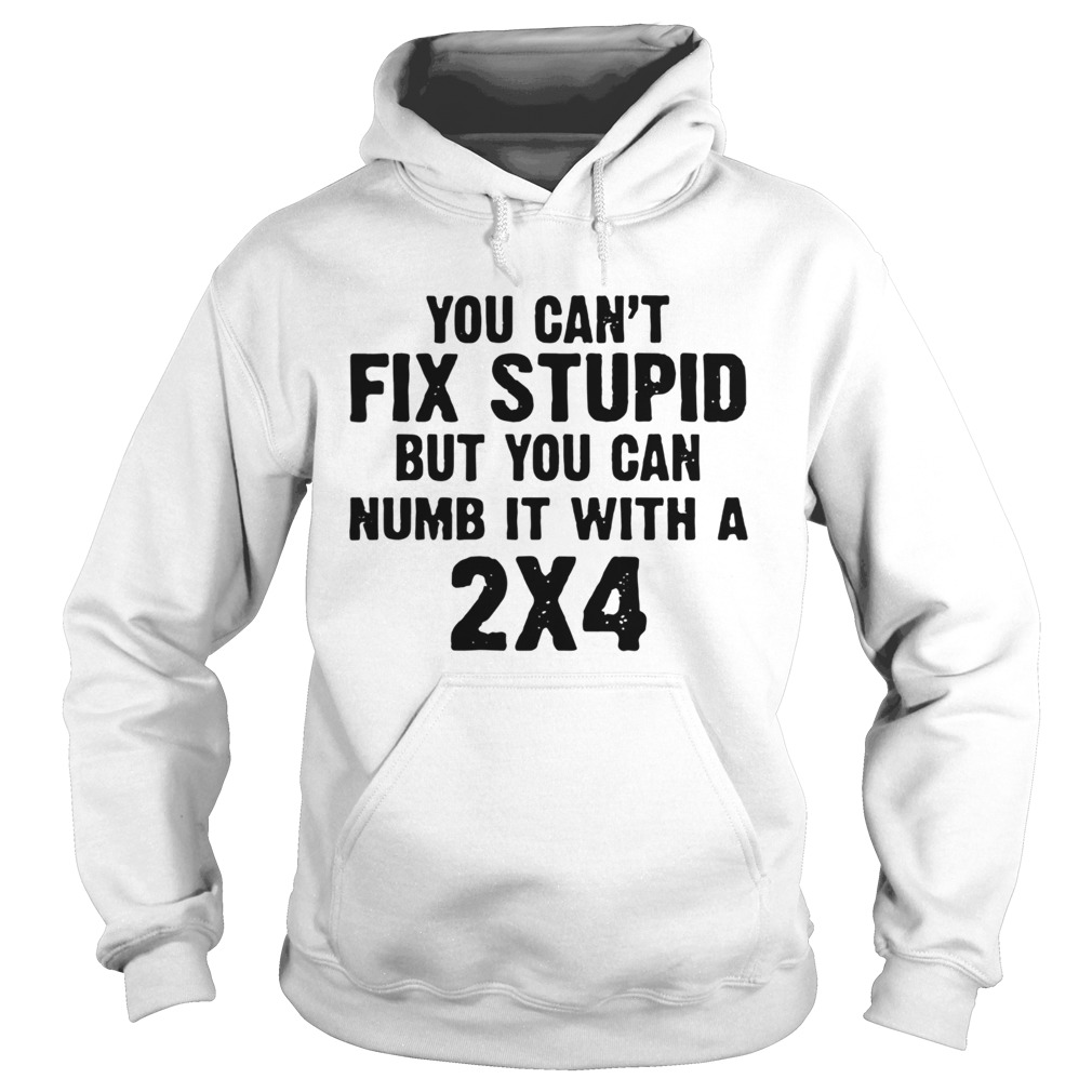 You Cant Fix Stupid But You Can Numb It With A 2x4  Hoodie