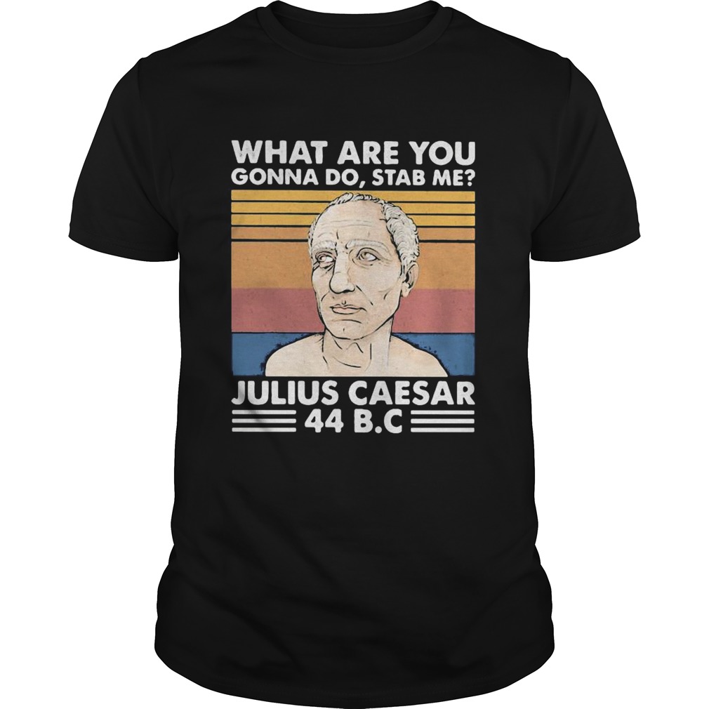 what are you gonna do stab me julius caesar 44 BC vintage retro shirt