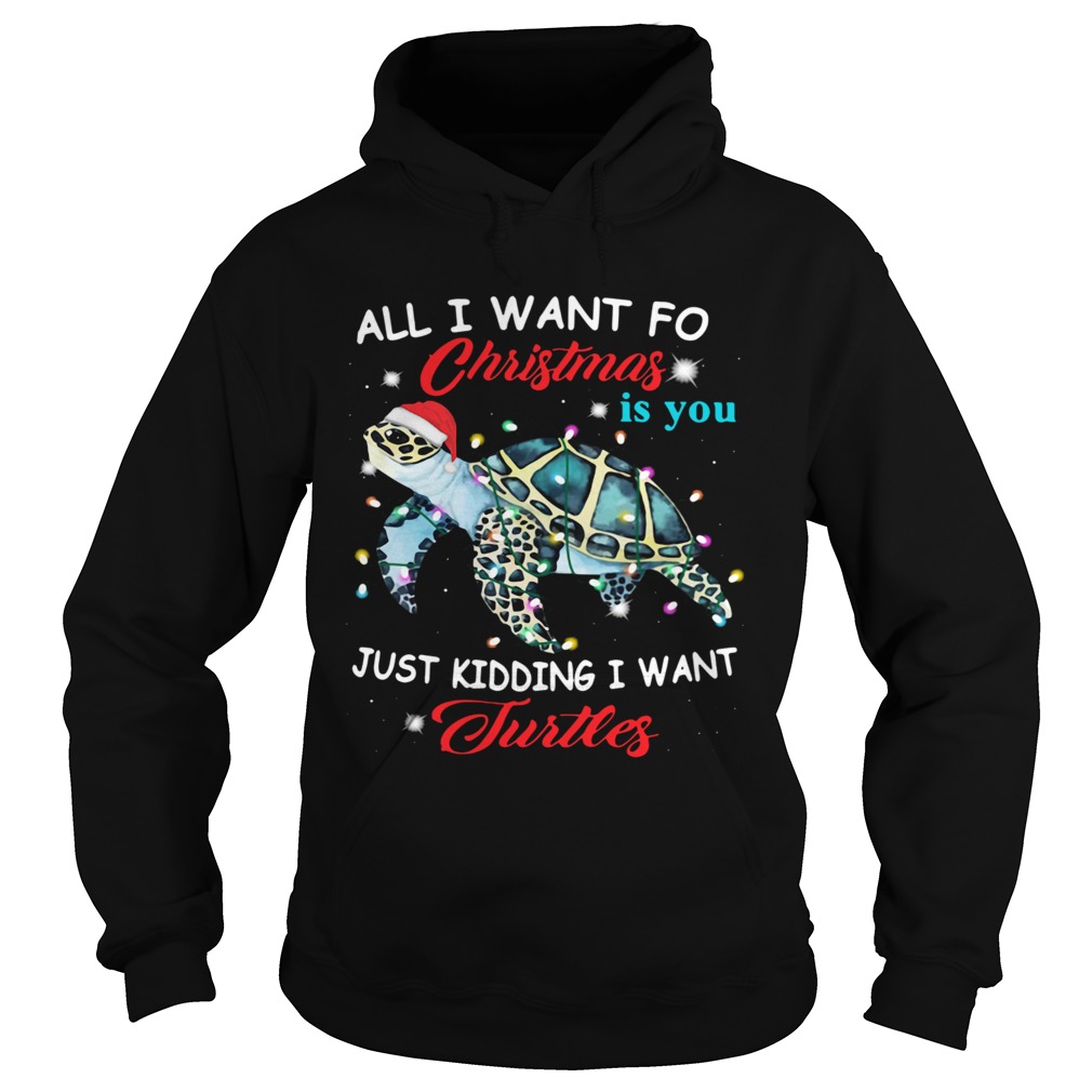 All I Want For Christmas Is You Just Kidding I Want Turtles  Hoodie