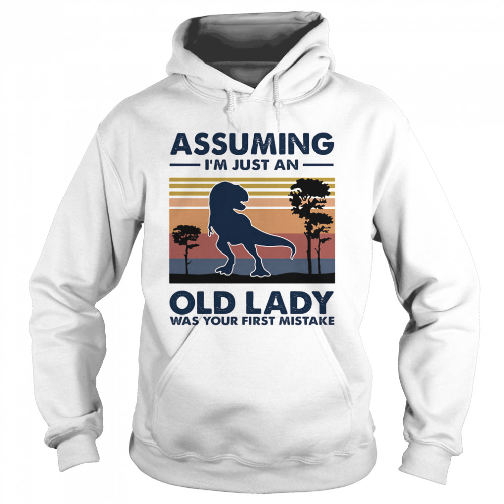 Dinosaur assuming i’m just an old lady was your first mistake vintage retro  Unisex Hoodie