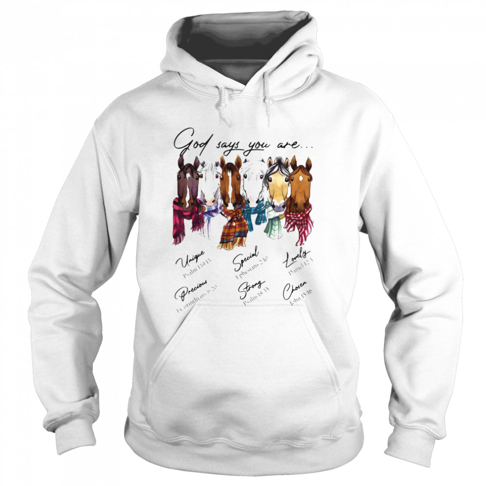 God Says You Are Horses Unique Special Lovely Precious Strong Chosen  Unisex Hoodie