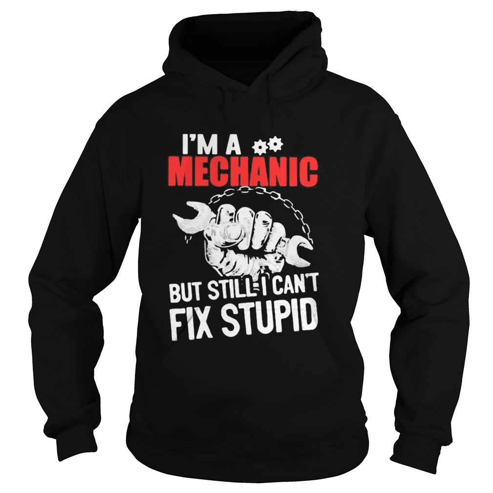 Im a mechanic but still i cant fix stupid  Hoodie