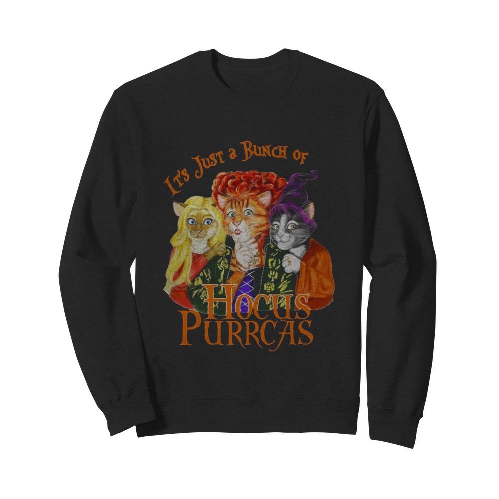 It’s Just A Bunch Of Hocus Purrcas  Unisex Sweatshirt