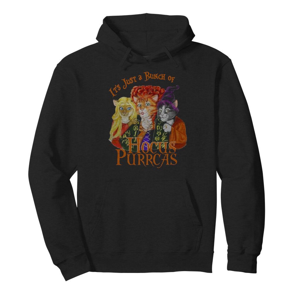 It’s Just A Bunch Of Hocus Purrcas  Unisex Hoodie