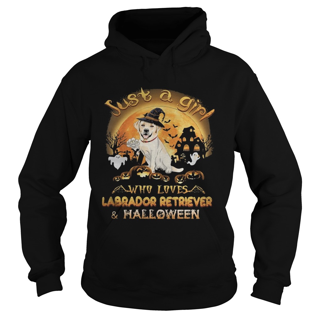 Just a girl who loves labrador retriever and halloween  Hoodie