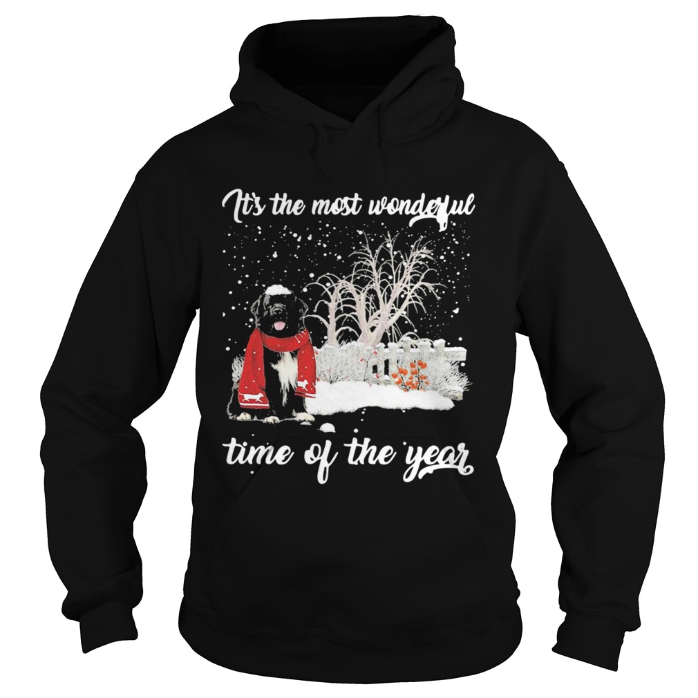 Newfoundland Its The Most Wonderful Time Of The Year  Hoodie