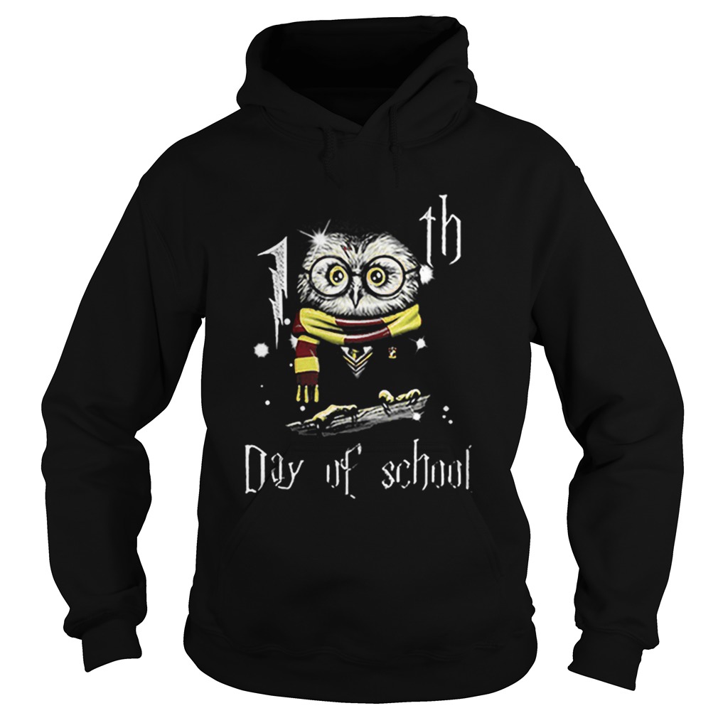 Owl Teacher 100th Day Of School Harry Potter  Hoodie