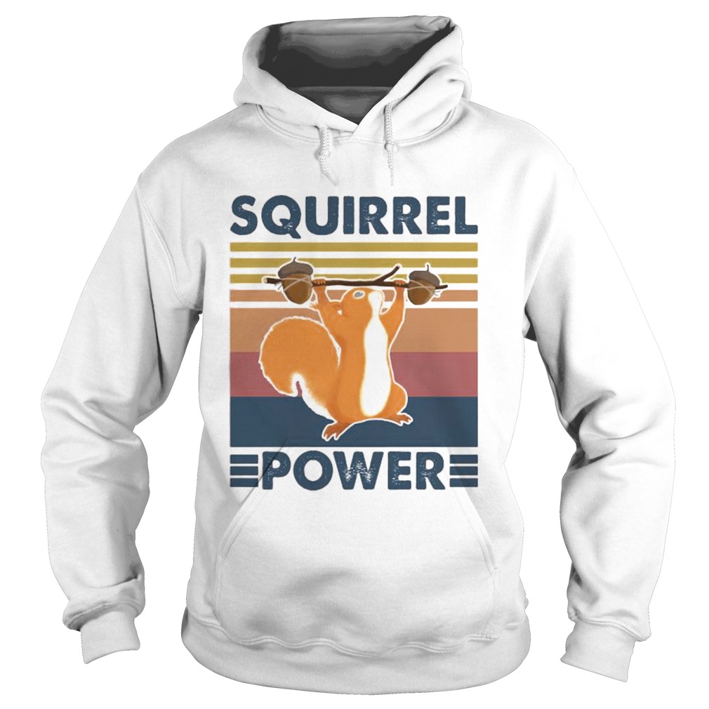 Squirrel power vintage retro  Hoodie