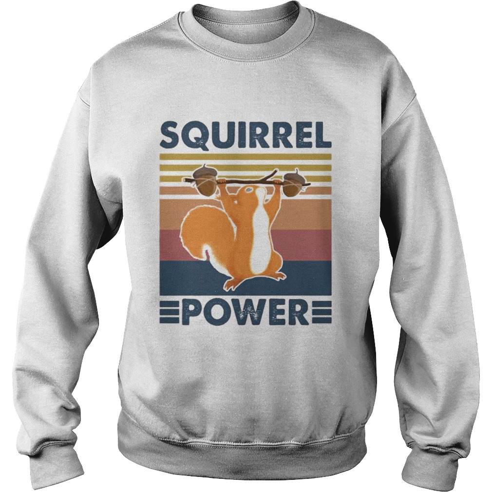 Squirrel power vintage retro  Sweatshirt