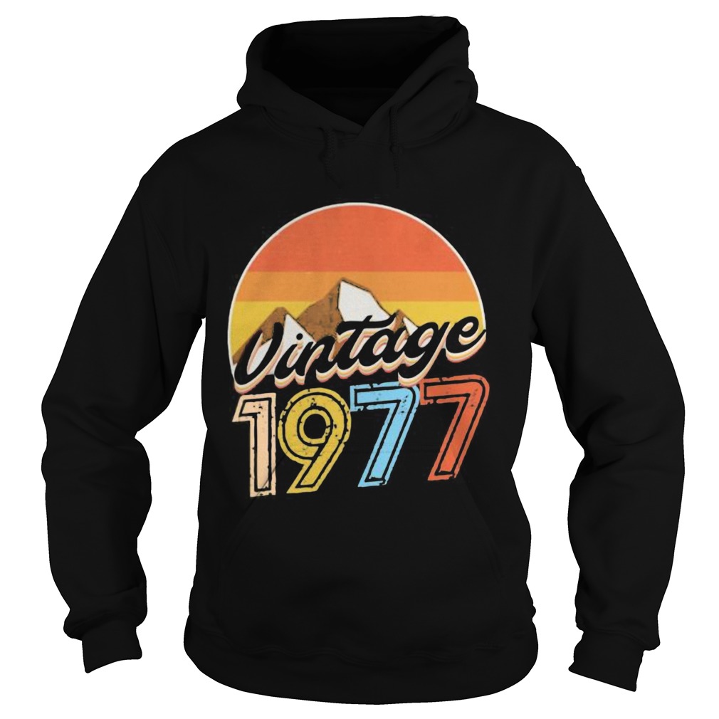 Vintage 1977 Vintage retro  Hoodie