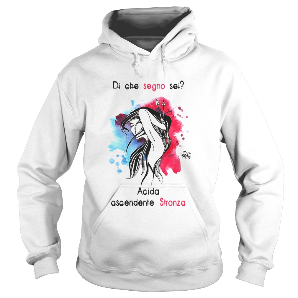 Di Che Segno Sei Acida Ascendente Stronza  Hoodie