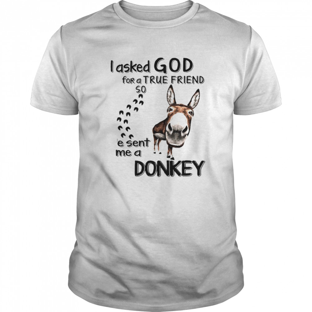 I asked god for a true friend so he sent me a Donkey shirt