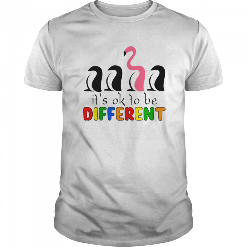 It’s Ok To Be Different Baseball Flamingo shirt