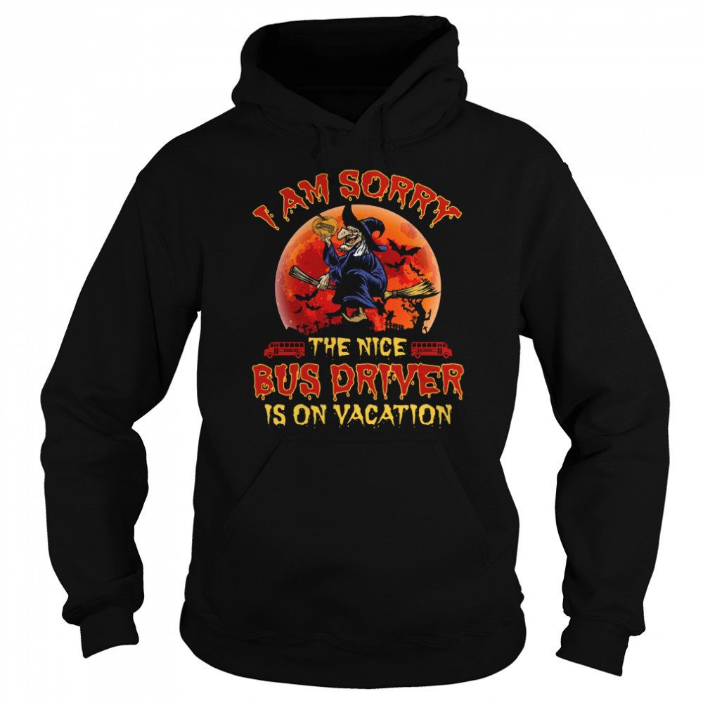 I’m Sorry The Nice Bus Driver Is On Vacation Witch Halloween  Unisex Hoodie