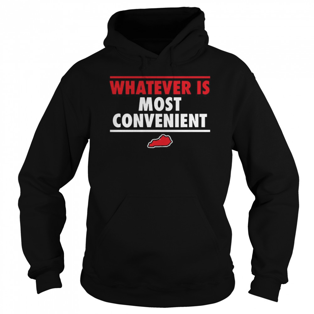 Whatever Is Most Convenient  Unisex Hoodie