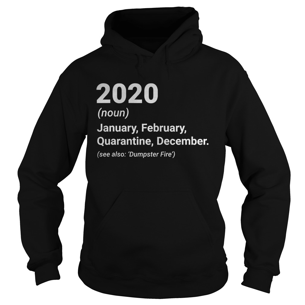 2020 january february sarcastic quarantine december  Hoodie