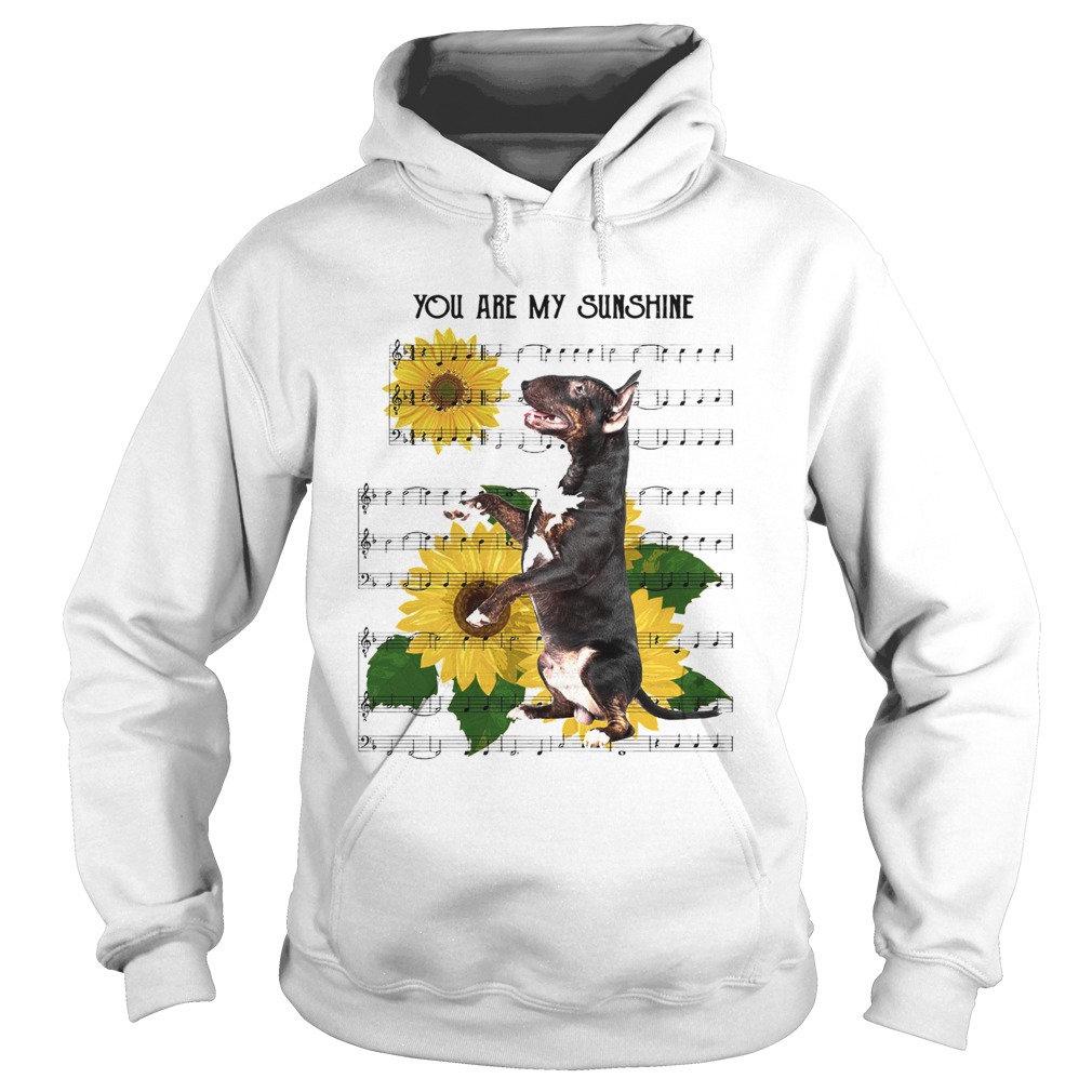 Bull Terrier You Are My Sunshine  Hoodie