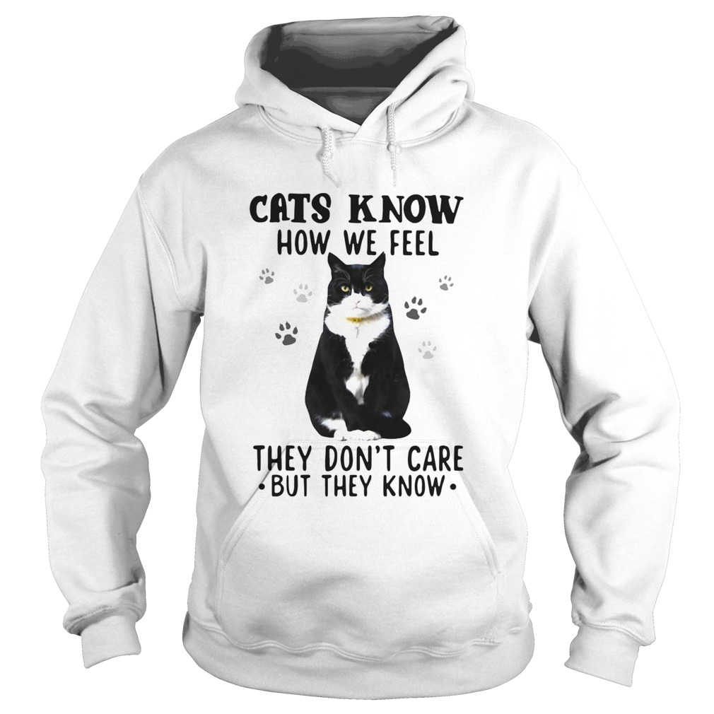 Cats Know How We Feel They Dont Care But They Know  Hoodie