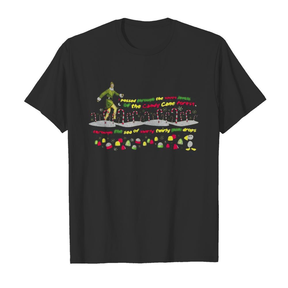 Christmas elf i passed through the seven levels of the candy cane forest shirt