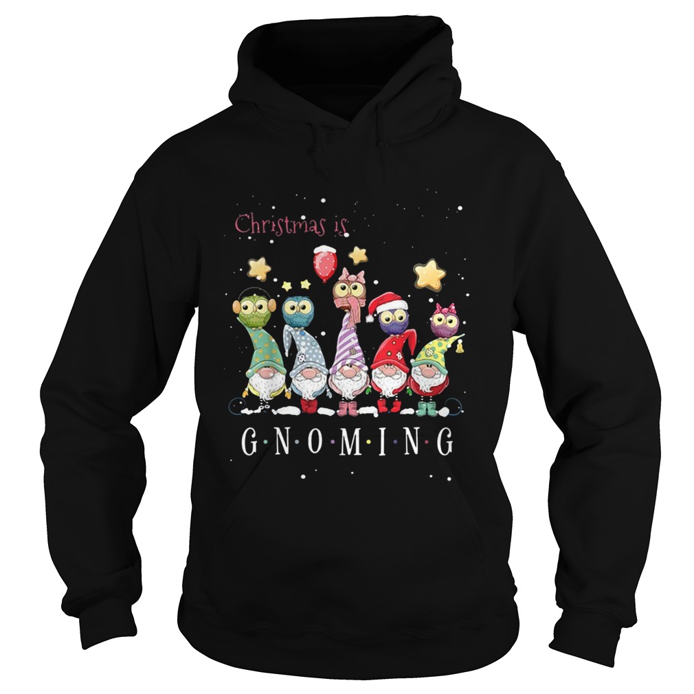 Christmas is Gnoming Christmas  Hoodie