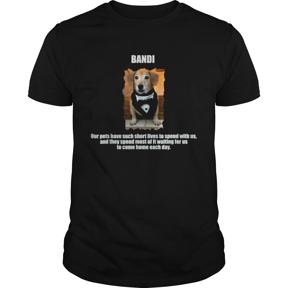 Dogs are mans best friend shirt