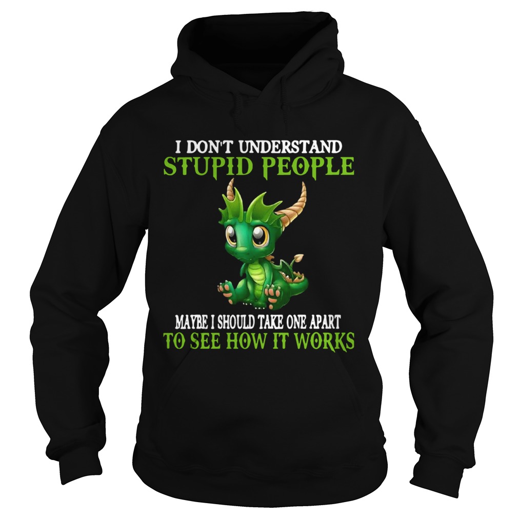 Dragon I Dont Understand Stupid People Maybe I Should Take One Apart To See How It Works  Hoodie