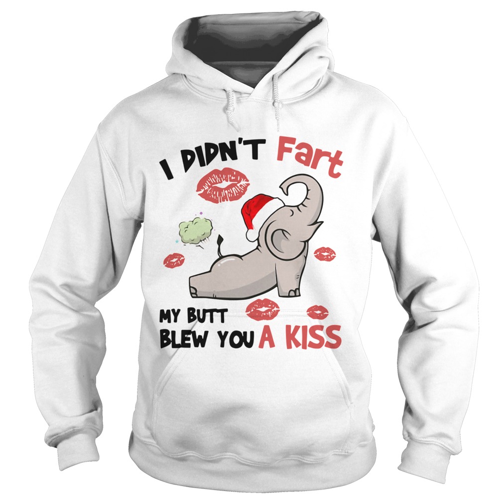 Elephant I Didnt Fart My Butt Blew You A Kiss  Hoodie