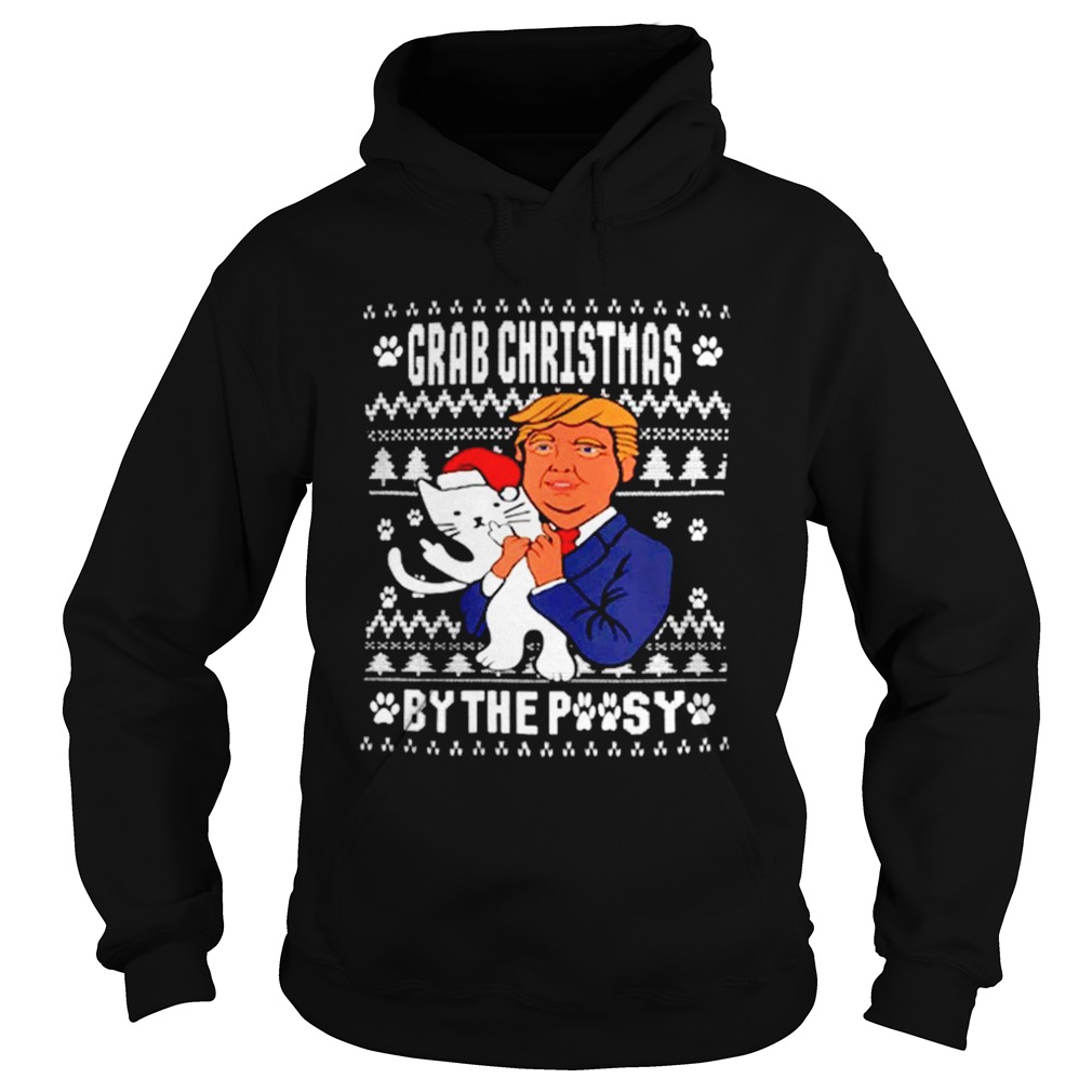 Grab Christmas By The Pussy Donald Trump  Hoodie