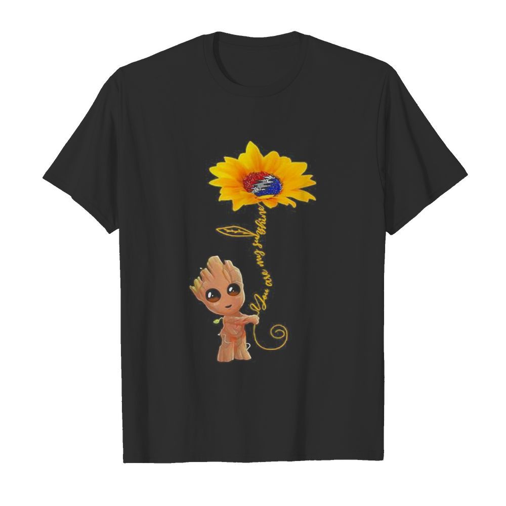 Groot hug Sunflower you are my sunshine shirt