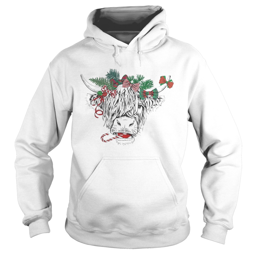 Horse Ornament Christmas  Hoodie