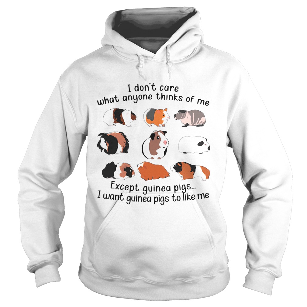 I Dont Care What Anyone Thinks Of Me Except Guinea Pigs I Want Guinea Pigs To Like Me  Hoodie