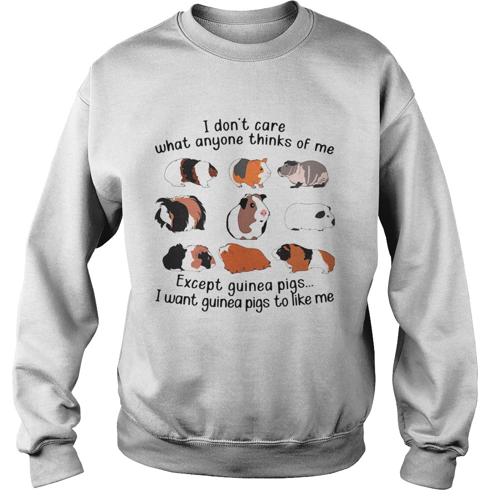 I Dont Care What Anyone Thinks Of Me Except Guinea Pigs I Want Guinea Pigs To Like Me  Sweatshirt