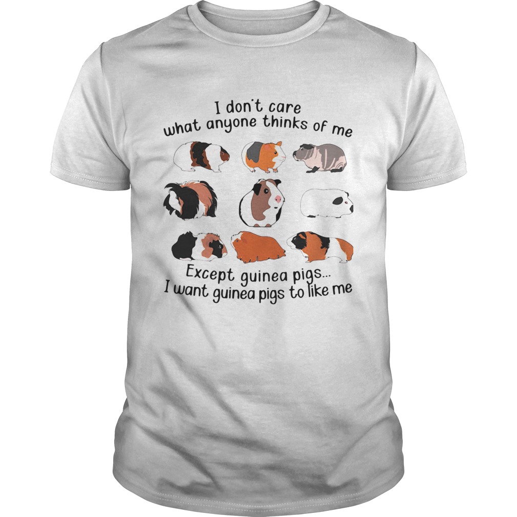 I Dont Care What Anyone Thinks Of Me Except Guinea Pigs I Want Guinea Pigs To Like Me shirt