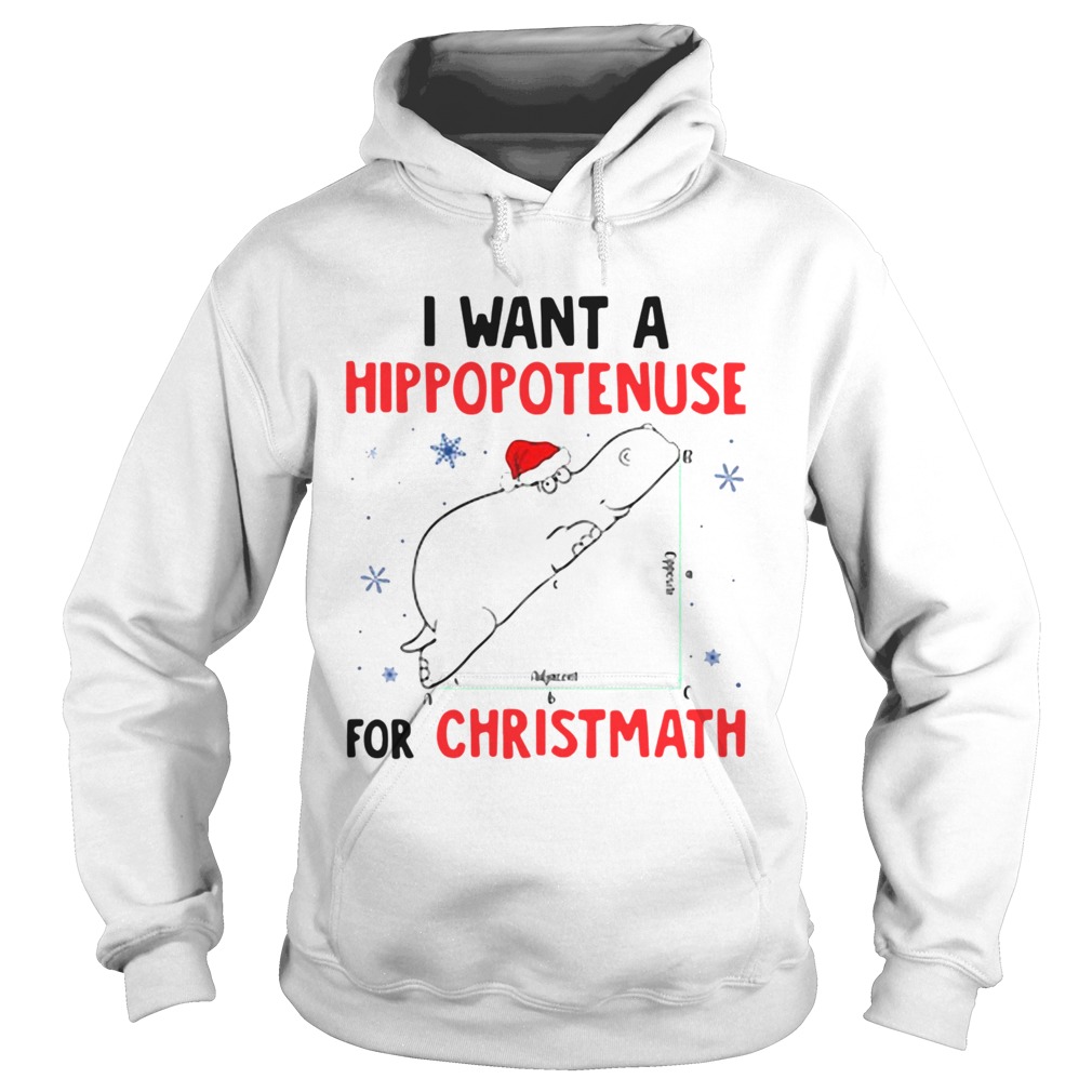 I Want A Hippopotenuse For Christmas  Hoodie