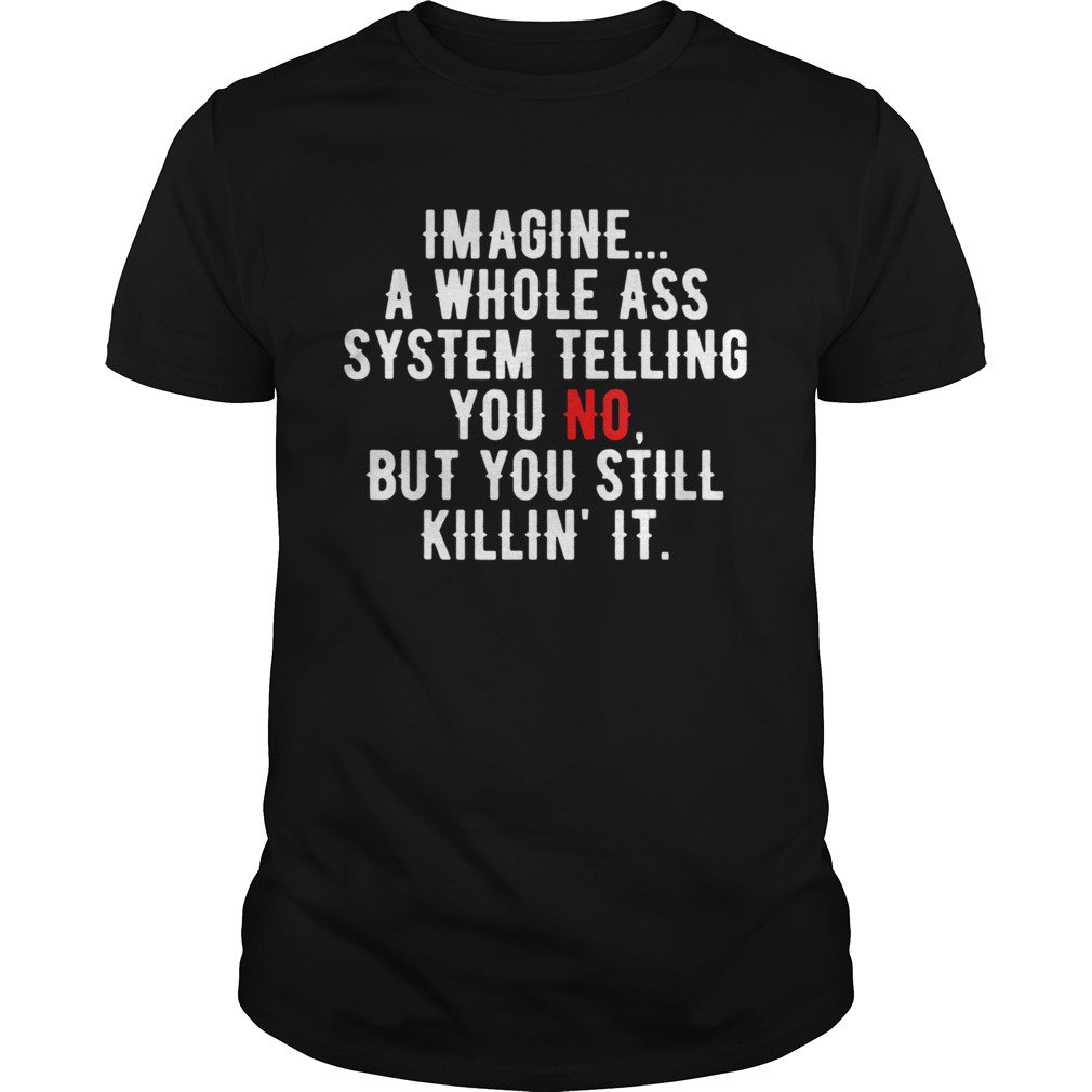 Imagine a whole ass system telling you no but you still shirt