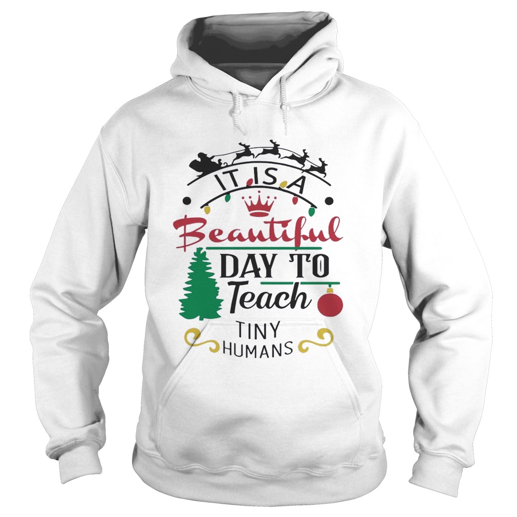 It Is A Beautiful Day To Teach Tiny Humans Christmas  Hoodie