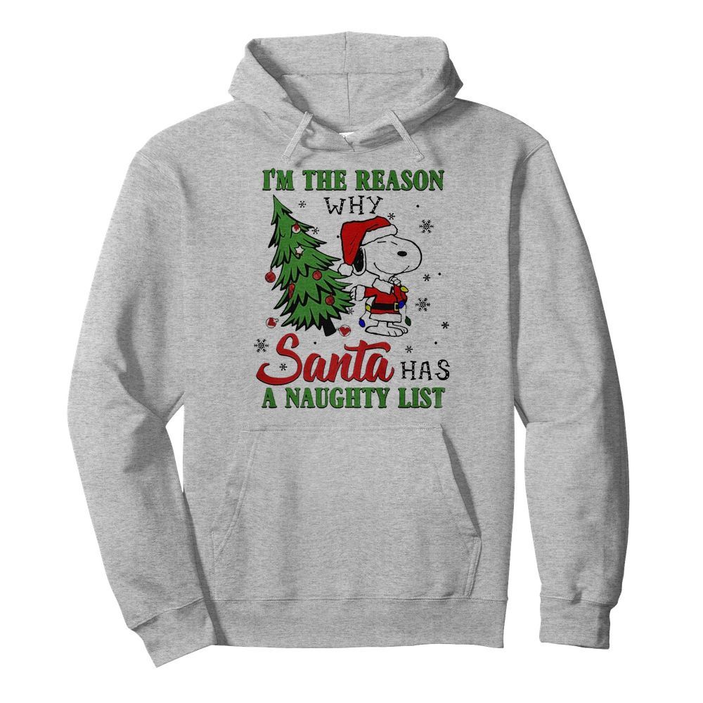 I’m The Reason Why Santa Has A Naughty List Christmas  Unisex Hoodie