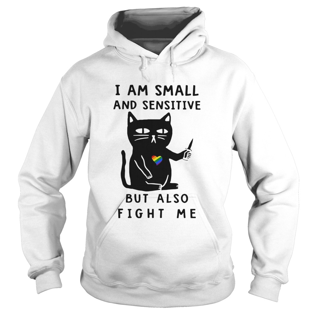 LGBT Cat I Am Small And Sensitive But Also Fight Me  Hoodie