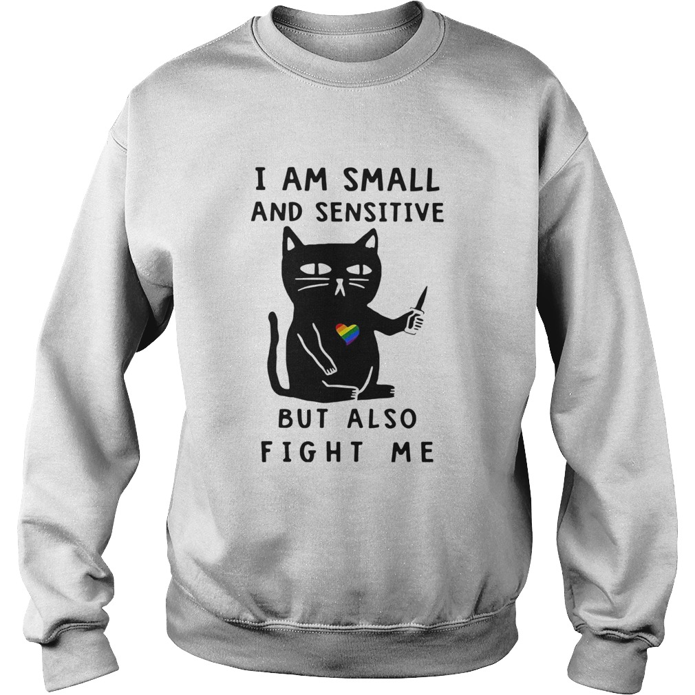 LGBT Cat I Am Small And Sensitive But Also Fight Me  Sweatshirt