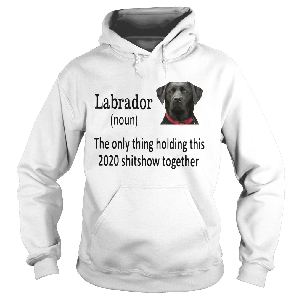 Labrador The Only Thing Holding This 2020 Shitshow Together  Hoodie