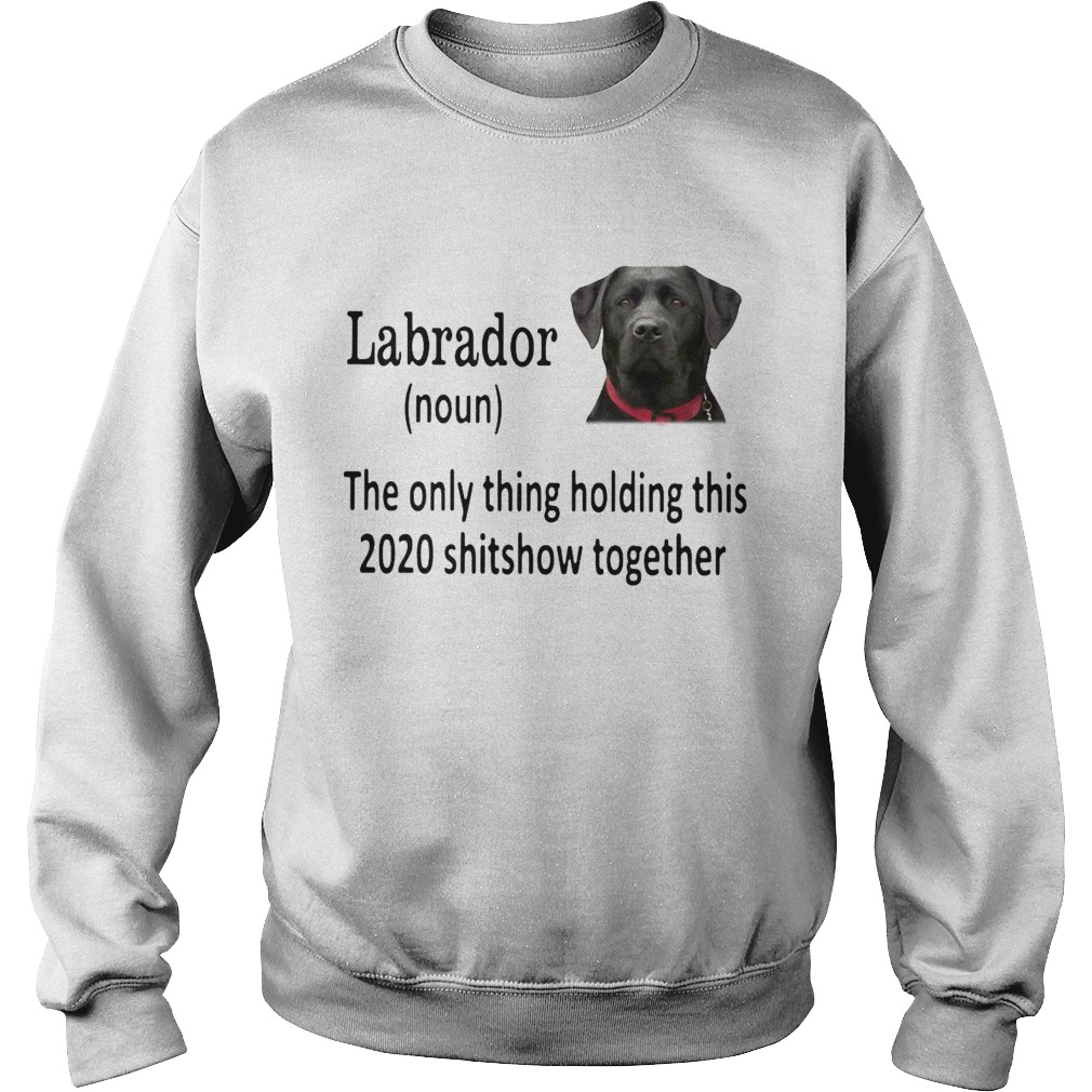 Labrador The Only Thing Holding This 2020 Shitshow Together  Sweatshirt