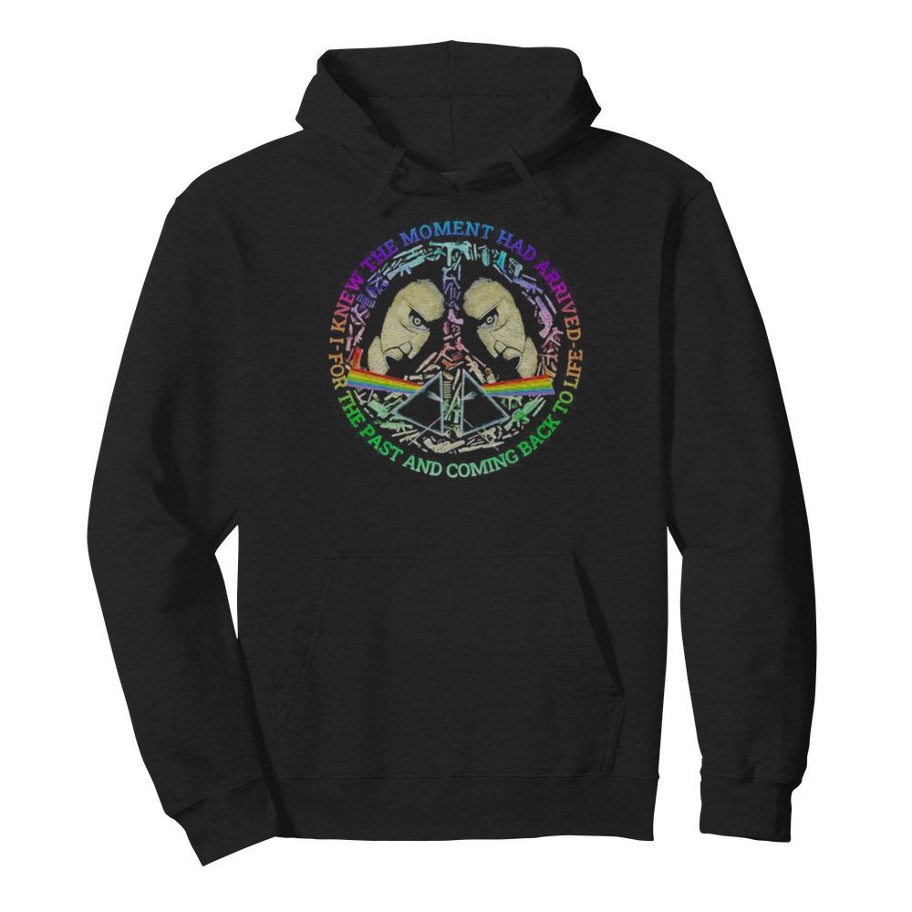 Pink floyd band i knew the moment has arrived the past and coming back to life  Unisex Hoodie