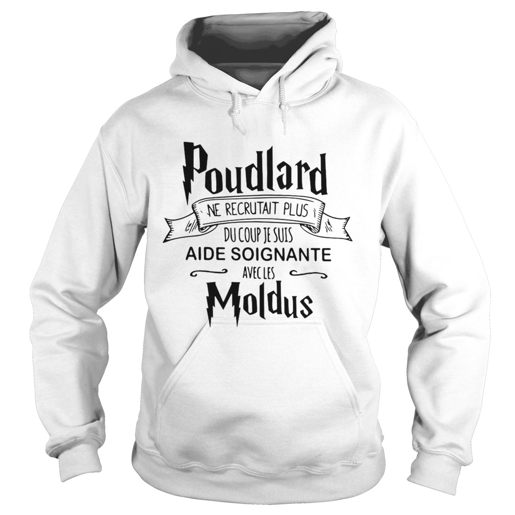 Poudlard Ne Recrutait Plus Du Coup Je Suis Aide Soignante Avecles Moldus  Hoodie