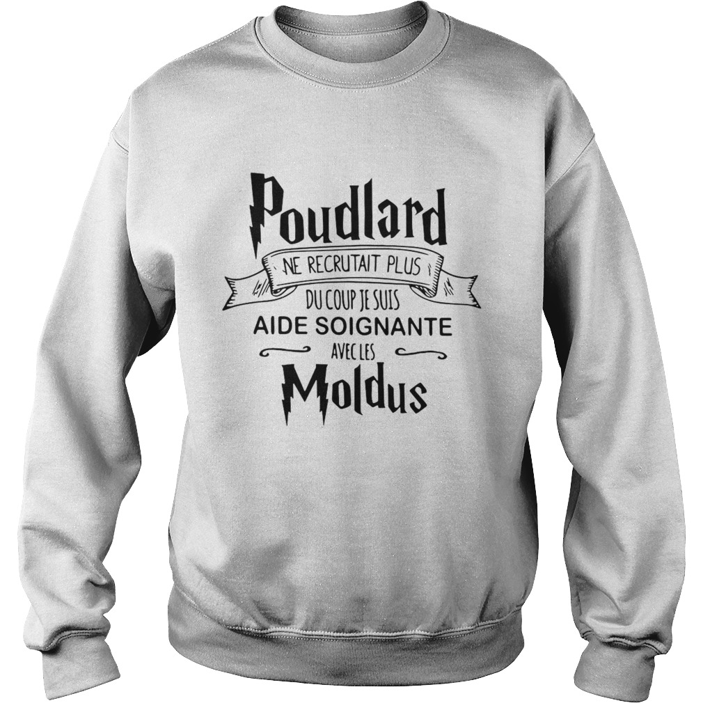 Poudlard Ne Recrutait Plus Du Coup Je Suis Aide Soignante Avecles Moldus  Sweatshirt