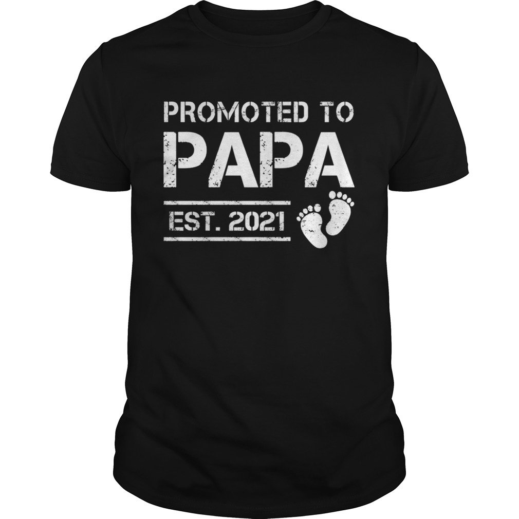 Promoted to papa est 2021 shirt